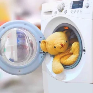 gấu trong máy giặt