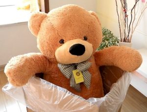gấu teddy màu cam